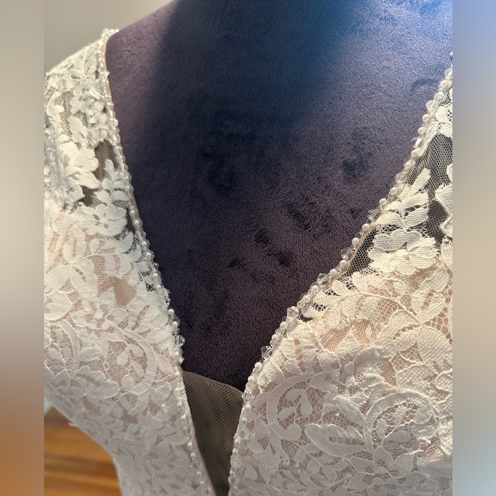 Pronovias Lyra wedding dress - Picture 8 of 13